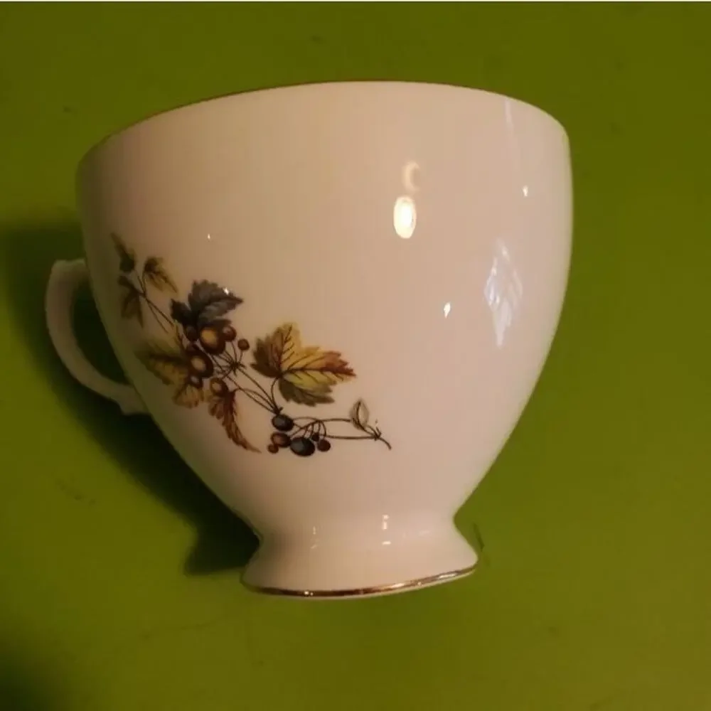 QUEEN ANNE BONE CHINA TEA CUP 8224